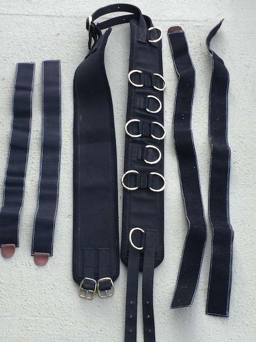 The animal surcingle and 4 custom made animal limb straps